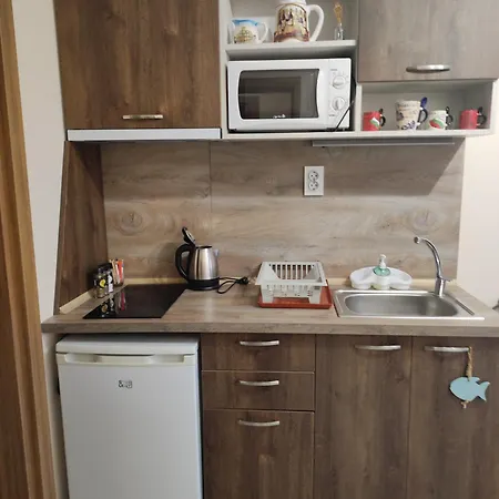 студио в центъра на стария 公寓 *
